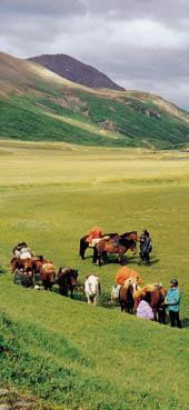 Polar Hestar-阿克雷里必去景点