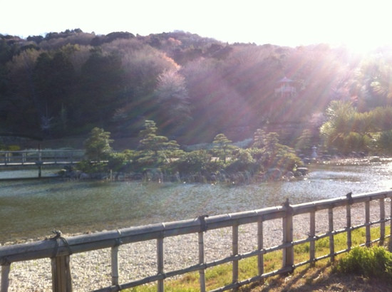 Higashi-mikawa Furusato Park-丰川市必去景点