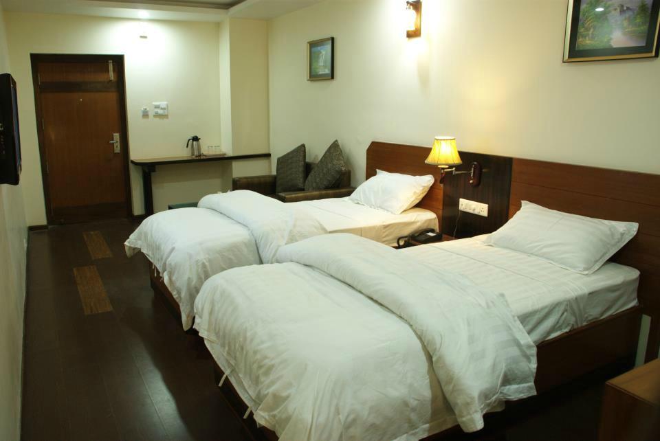 Hotel DVR Mansion-客卧