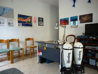 Max Shark Diving-Isola del Giglio必去景点