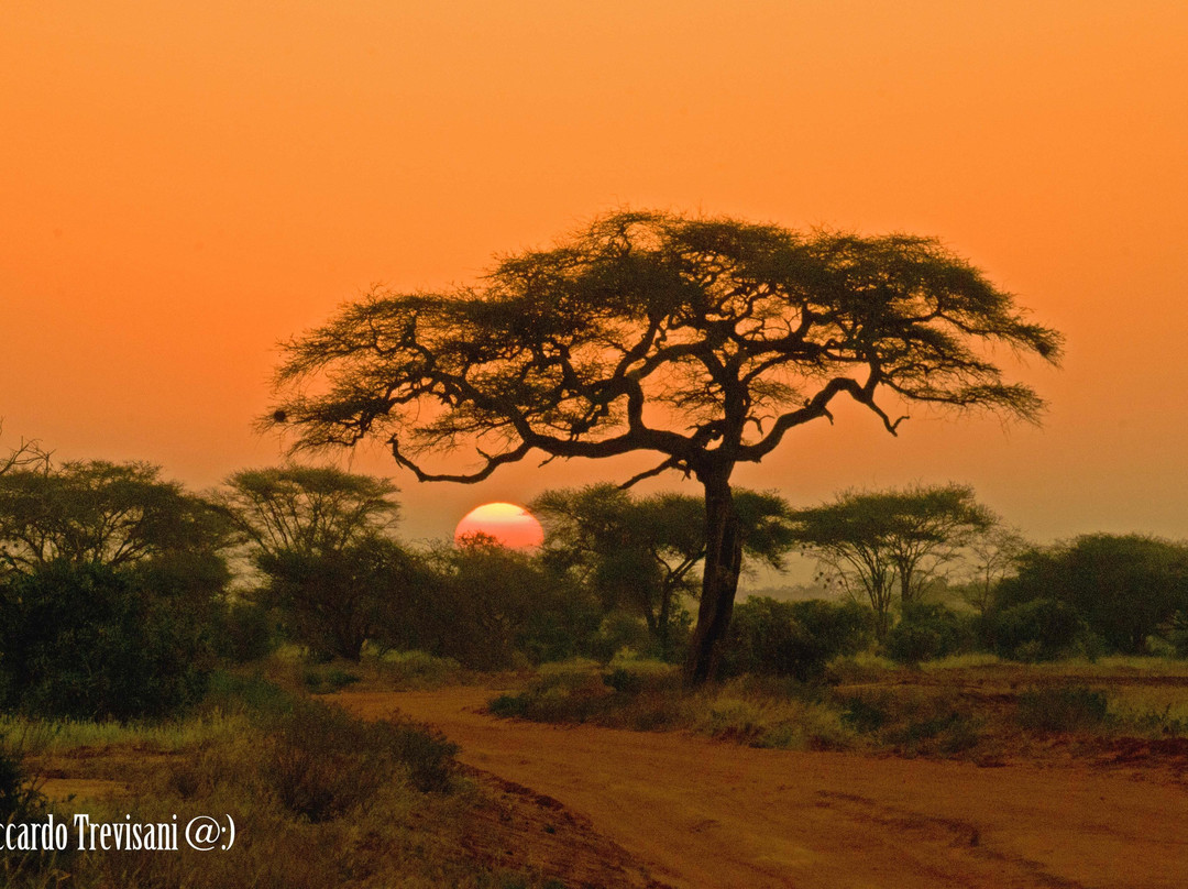 Donamasai Kenya Tours-马林地必去景点