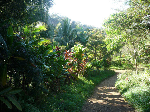 双子瀑布-夏威夷大岛必去景点