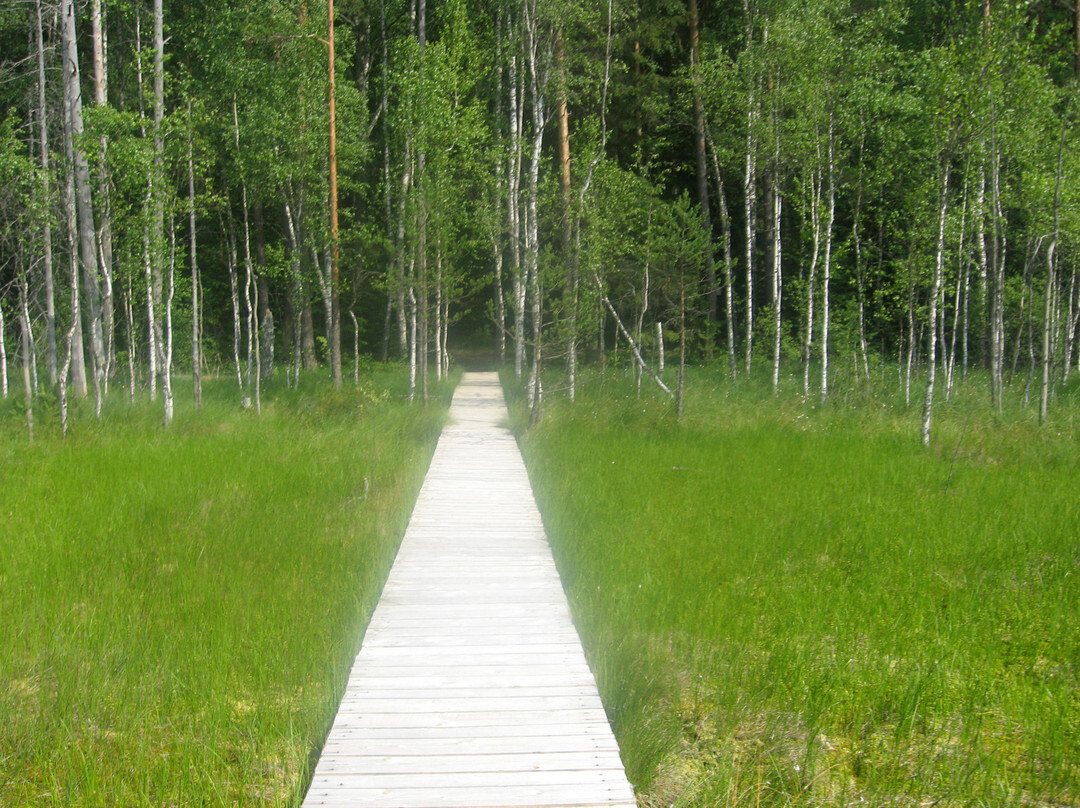 Berezina Biosphere Reserve-Domzharytsy必去景点