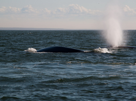 Otis Excursions-泰道沙克必去景点