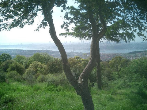 恰姆勒加丘-伊斯坦布尔必去景点