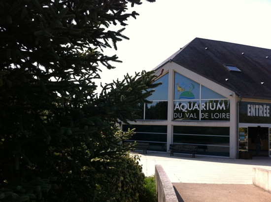 Aquarium De Touraine景点图片