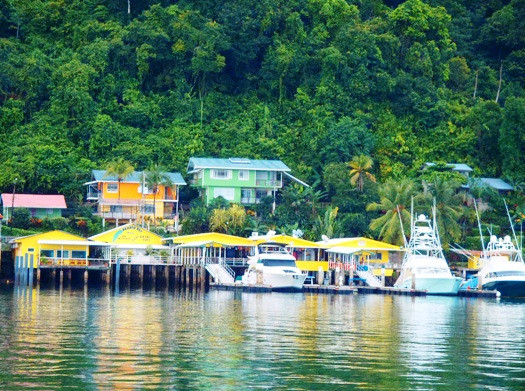 Golfito Marina Vista Villas