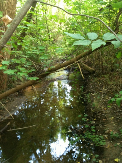 De Graaf Nature Center-荷兰村必去景点