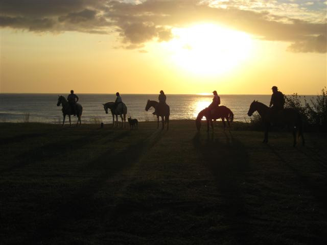 Paradise Riding - Horseback Tours景点图片