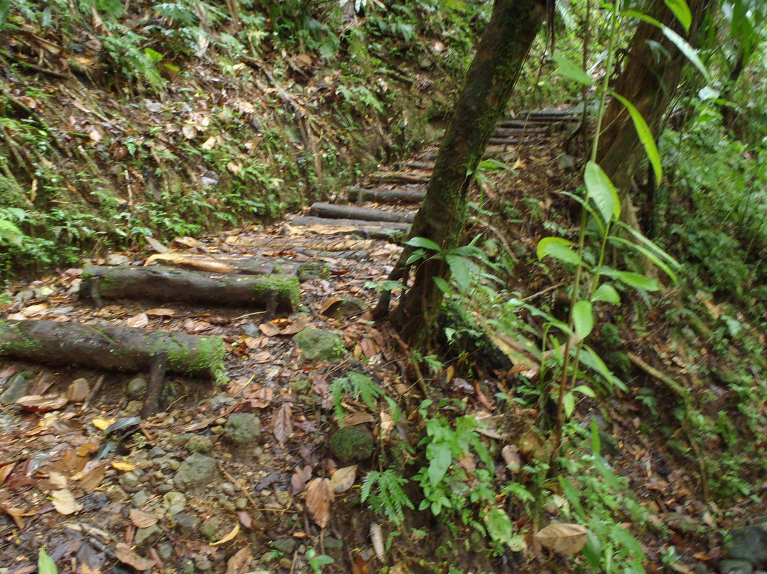 Middleham Falls-罗索必去景点