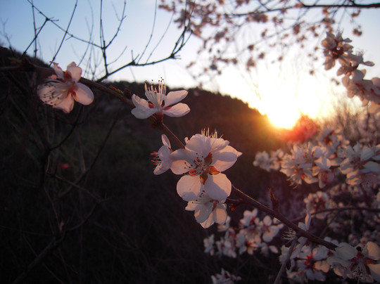 百望山森林公园-北京市必去景点