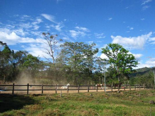 Establo San Rafael Natural Horsemanship景点图片