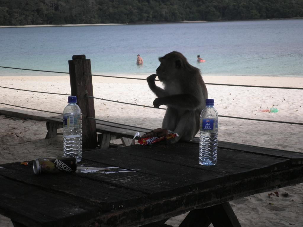 Langkawi Island Tours by Jet Ski景点图片
