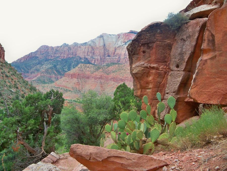 Watchman Trail-锡安国家公园必去景点