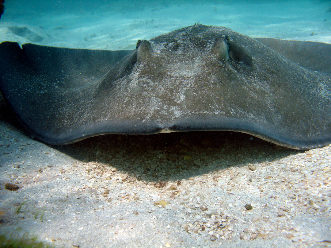 危险航行-基韦斯特必去景点