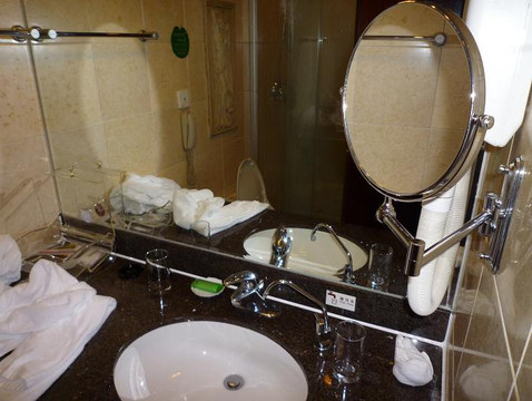 天鹅大酒店主图