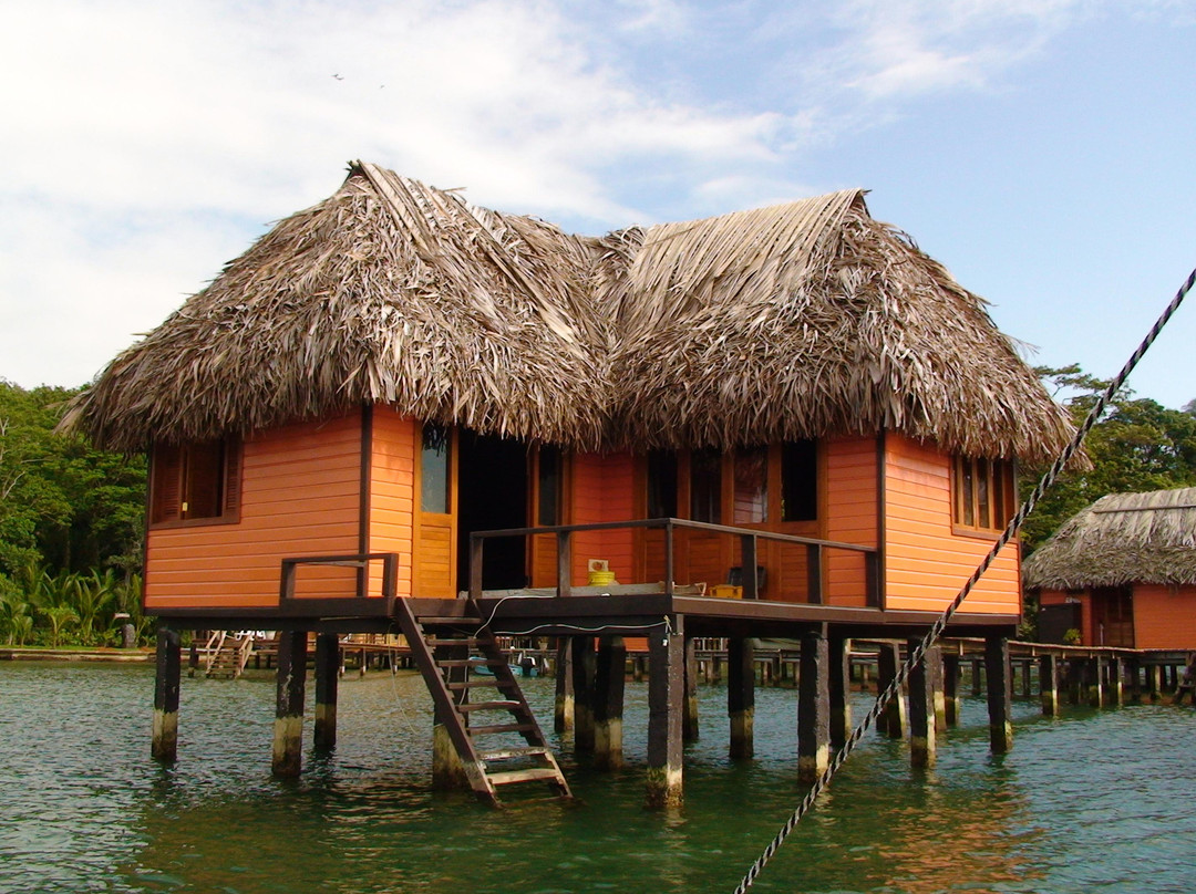 Isla Bastimentos旅游攻略图片