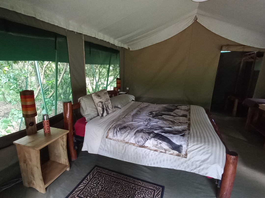Melting Pot Safaris