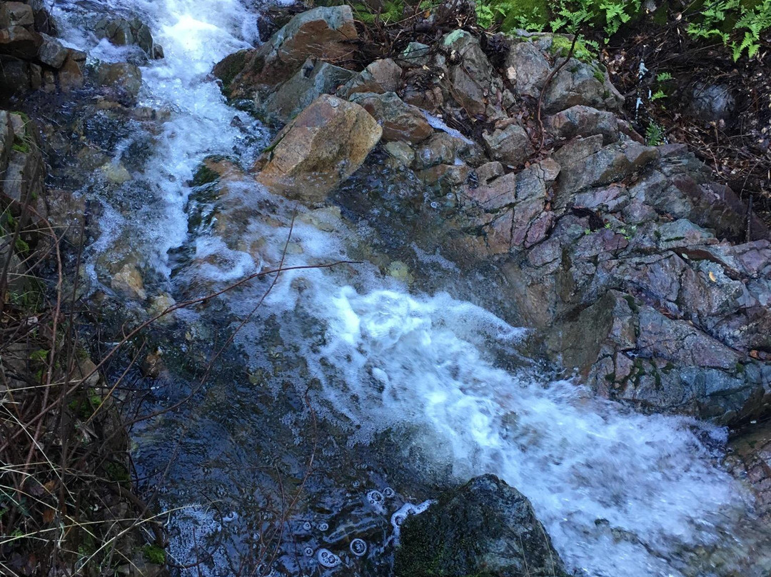 Swasey Recreation Area景点图片