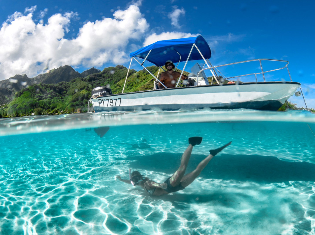 Mermaid Private Boat Tours-莫雷阿岛必去景点