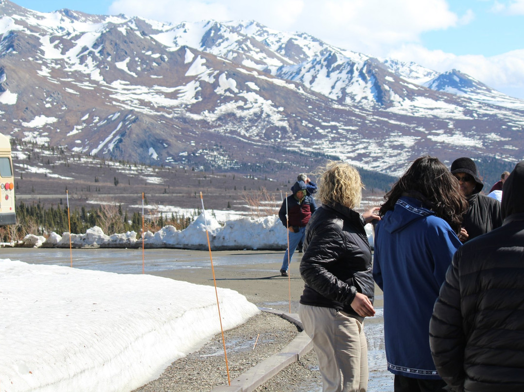 Denali Natural History Tour景点图片