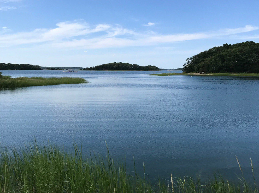 Cape Cod Kayak景点图片