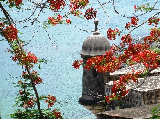 Tour Guide Debbie LLC-San Sebastian必去景点