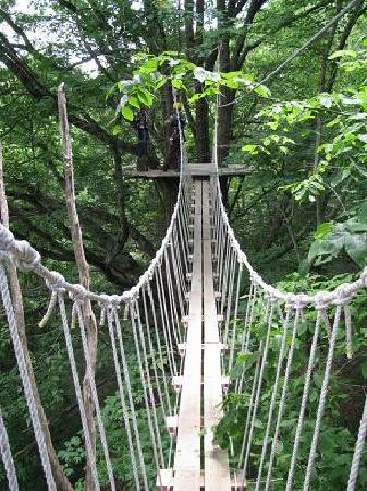 Navitat Canopy Adventures景点图片