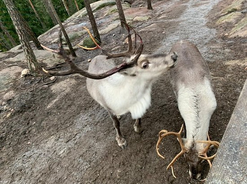 Feel The Nature-赫尔辛基必去景点
