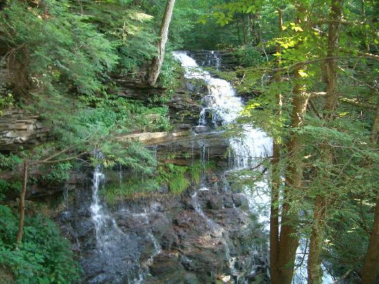 Ricketts Glen State Park景点图片