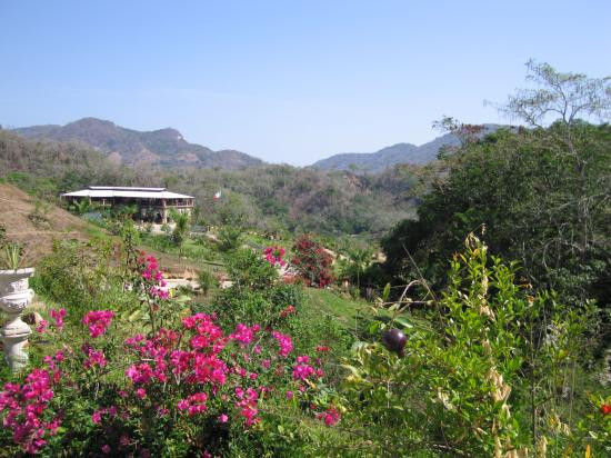 Jardín Botánico de Vallarta-Cabo Corrientes必去景点