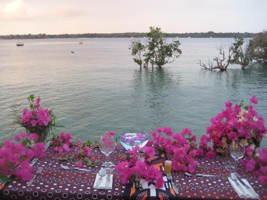 Wasini Island-Shimoni必去景点