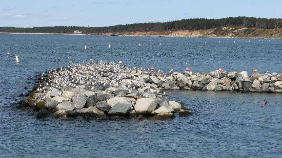 Kiptopeke State Park-Cape Charles必去景点