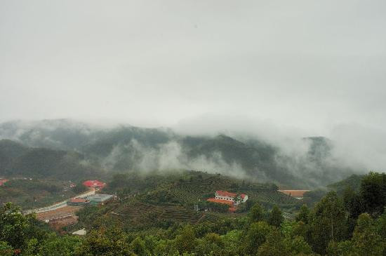 梅州雁南飞茶田度假村-梅县必去景点
