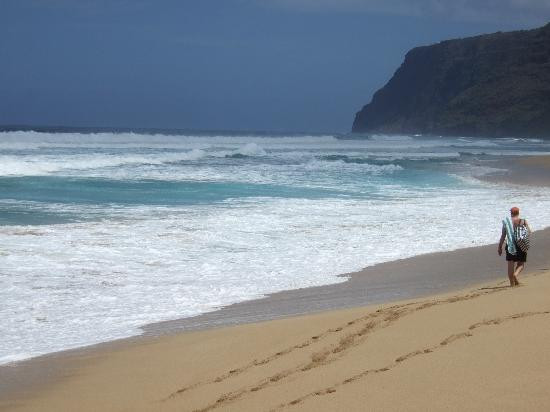 Polihale State Park-威美亚必去景点