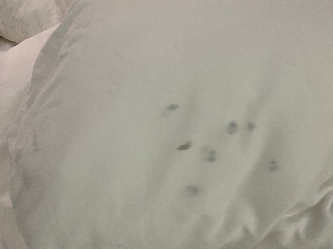 Radisson Hotel Akron / Fairlawn主图