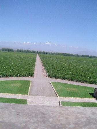 Catena Zapata-阿格雷洛必去景点