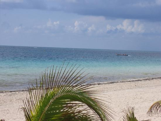 Artists' Cooperative of Puerto Morelos-从莫雷洛斯港必去景点