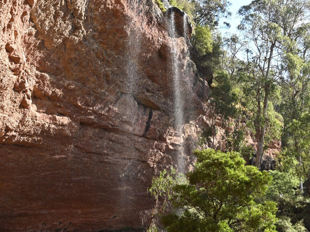 Paradise Falls景点图片