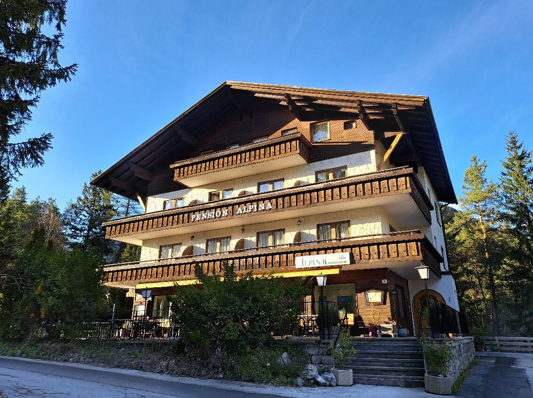 Pension Alpina主图