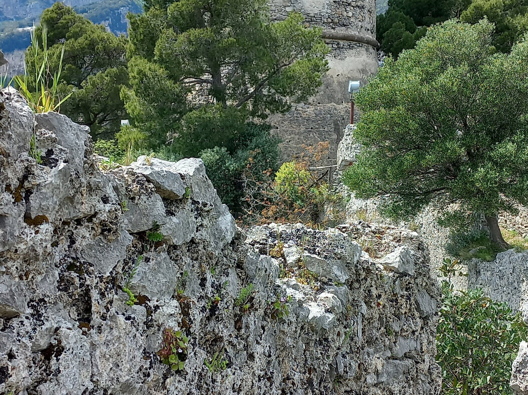 Torre dello Ziro景点图片