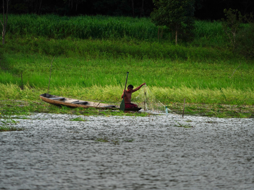 Parque Ecologico Janauari-玛瑙斯必去景点