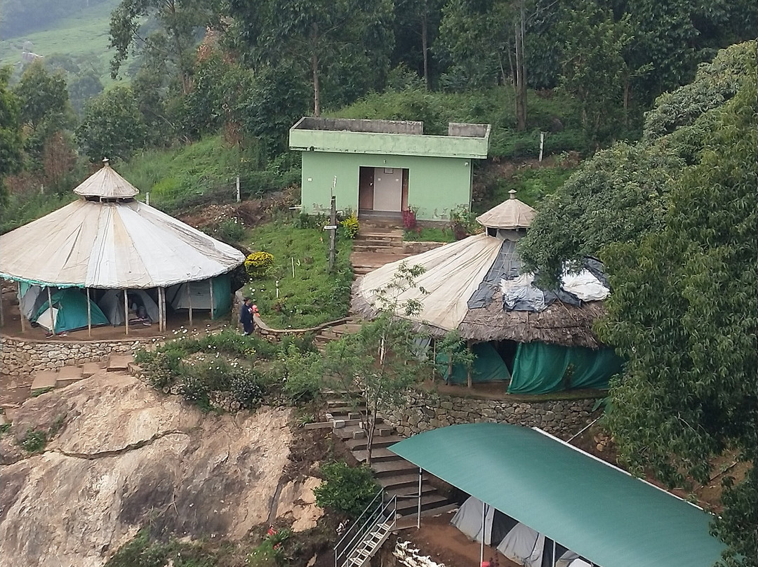 Camp Woody at Anayirangal Valley