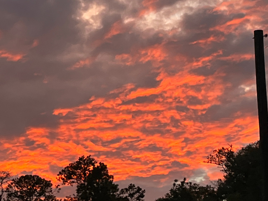 贝斯特韦斯特布拉德伯里旅馆&套房酒店主图