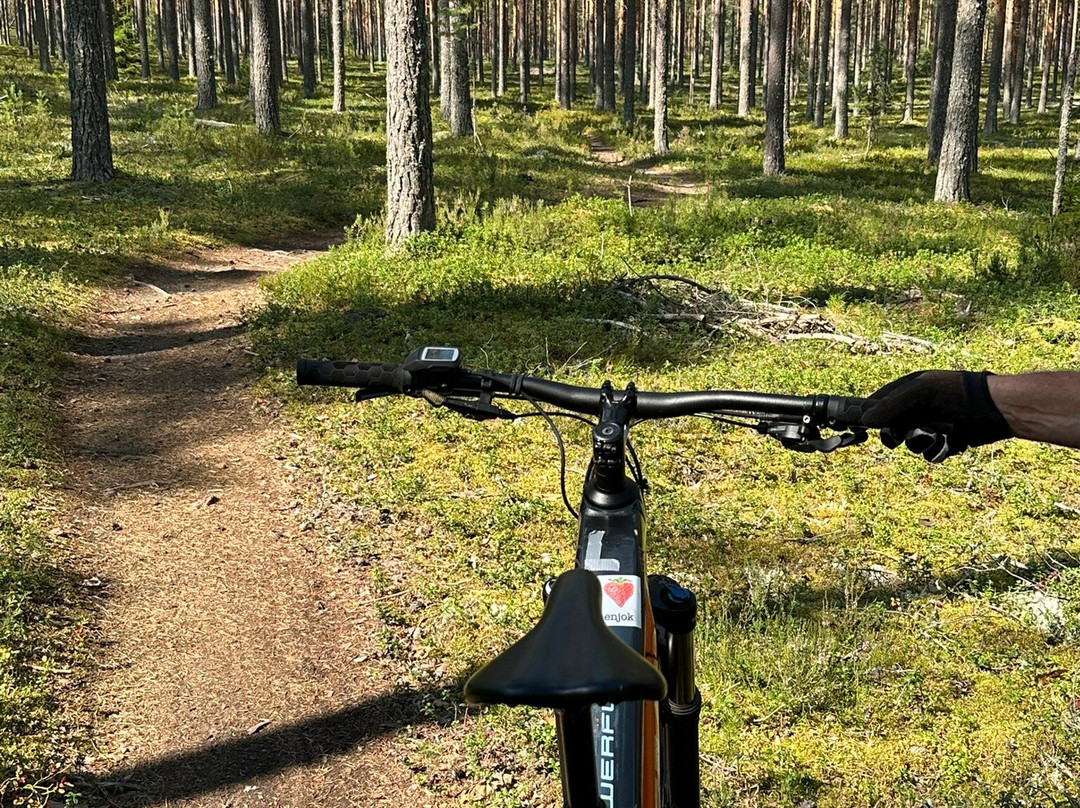 Savo Cycles - MTB Self-service Rentals-Suonenjoki必去景点