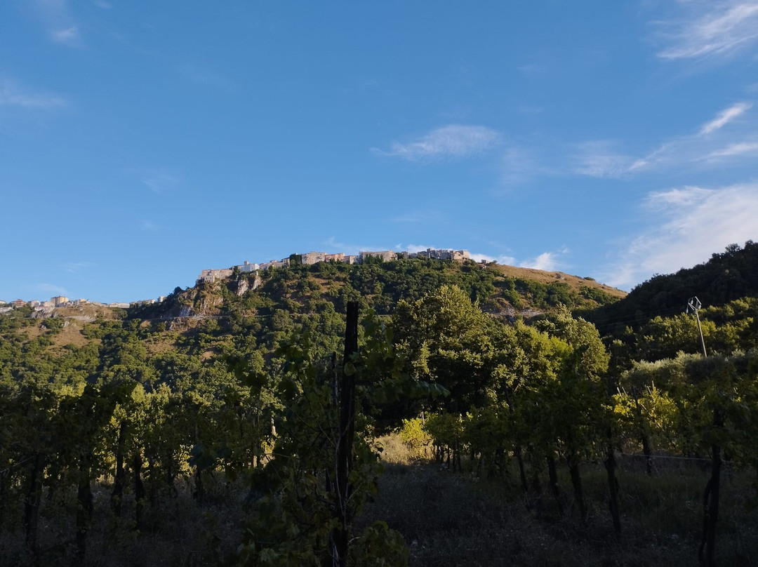 Castello di Caggiano景点图片