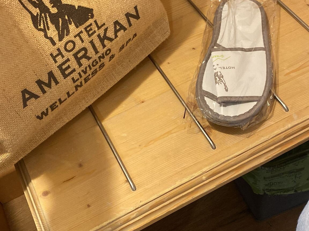 Hotel Amerikan主图