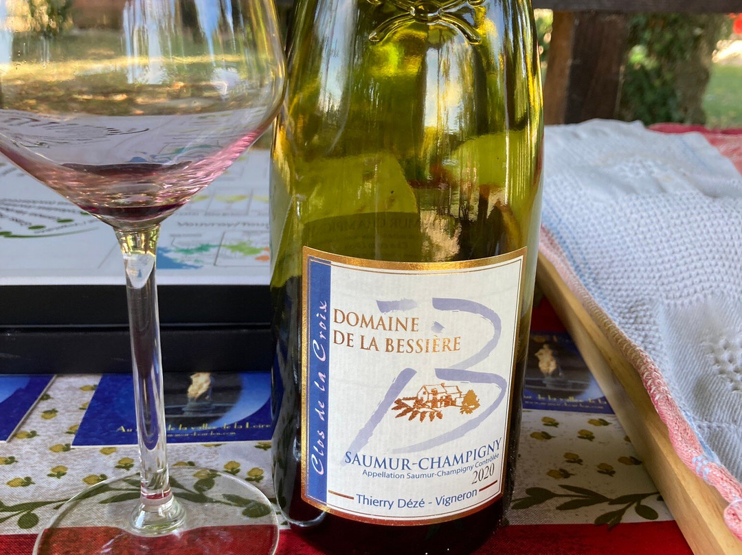 Bumblebee Tours - Loire Valley Wine Experience-梭缪尔必去景点