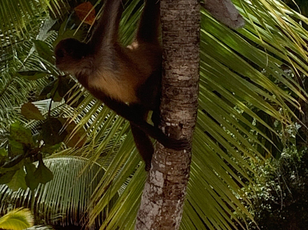 Tour’s & More PTY-巴拿马城必去景点