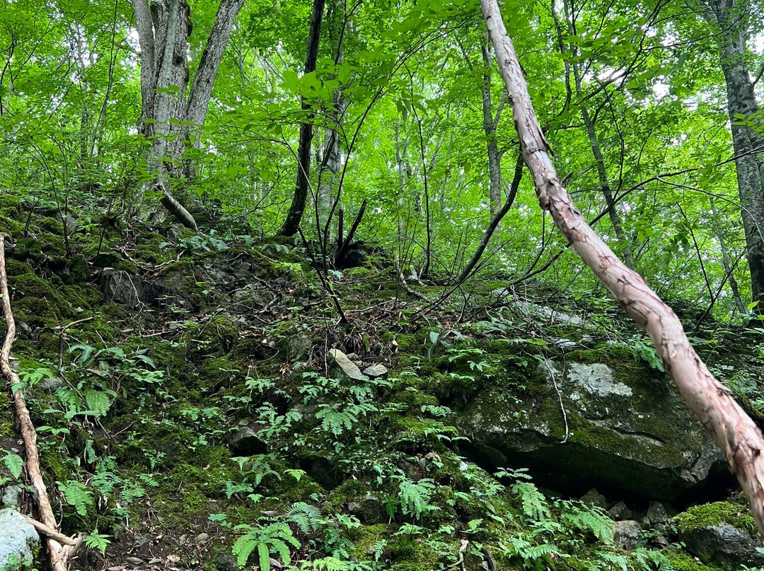 白神山地-东北部必去景点